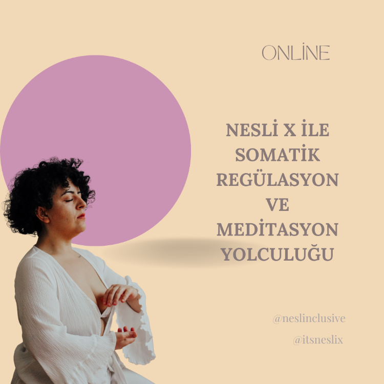 Somatik Regülasyon ve Meditasyon Programı (10 Seans)