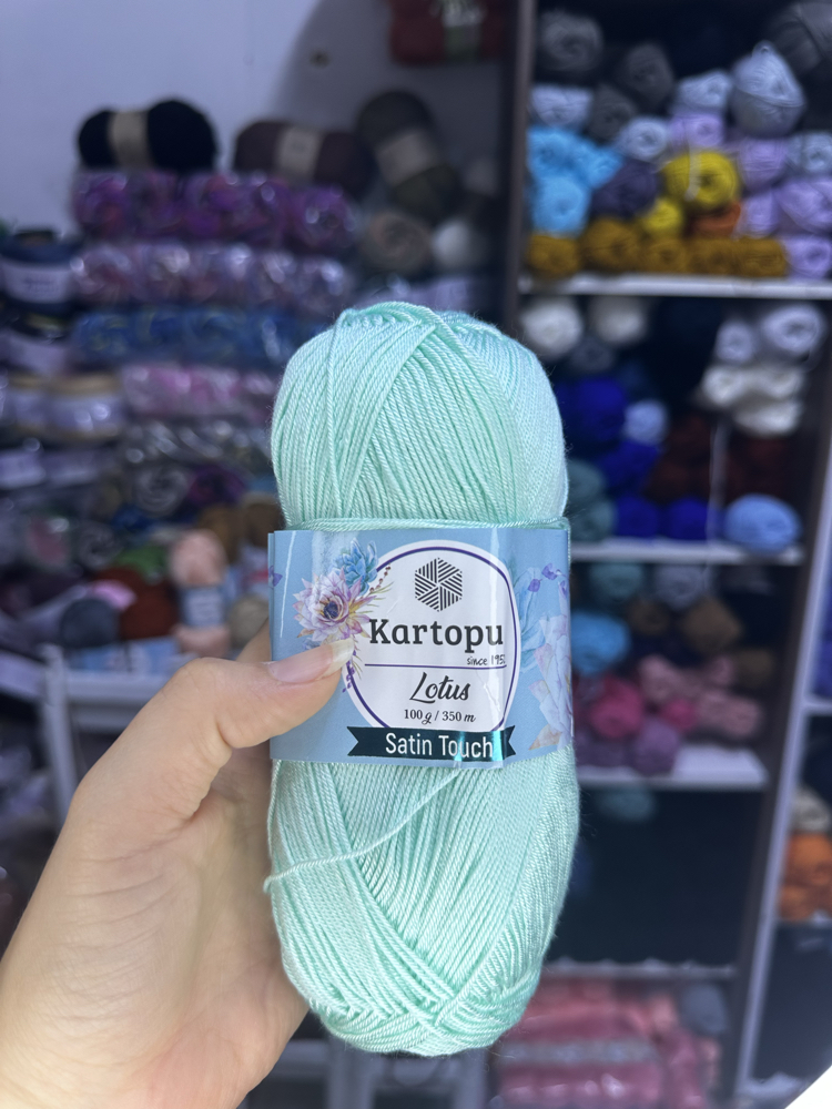 Kartopu Lotus K507