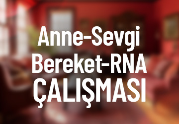 Anne - Sevgi - Bereket – Rna Çalışması