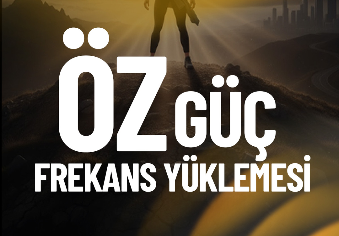 ÖZGÜÇ FREKANS YÜKLEMESİ