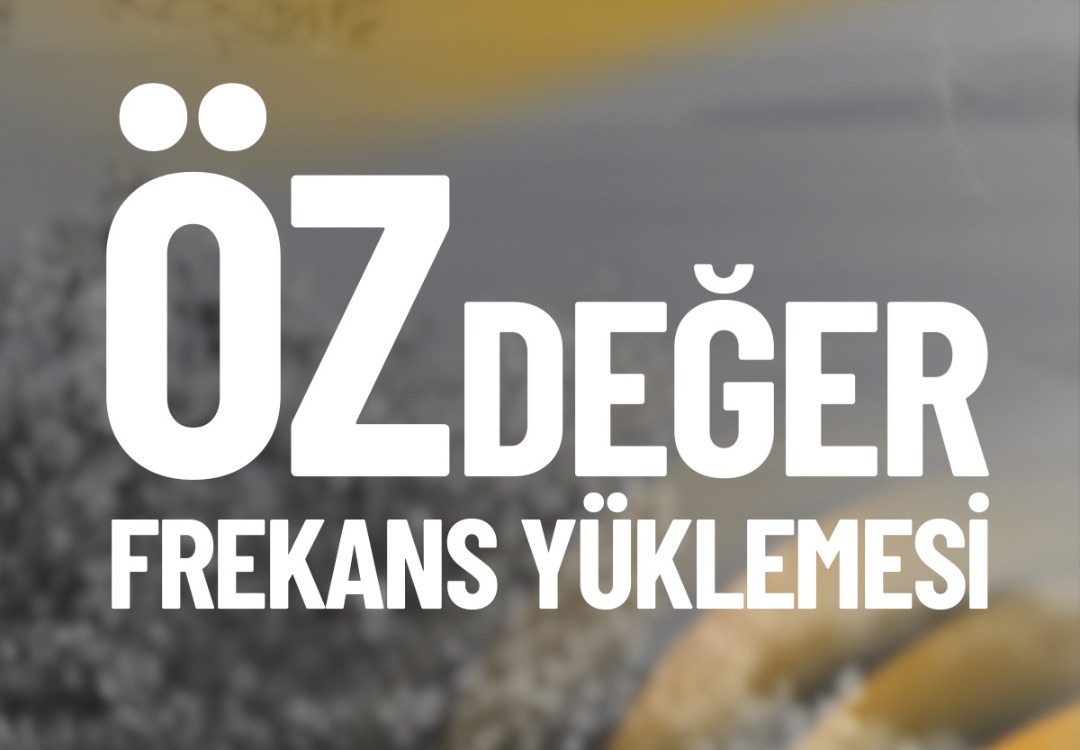 ÖZDEĞER FREKANS YÜKLEMESİ