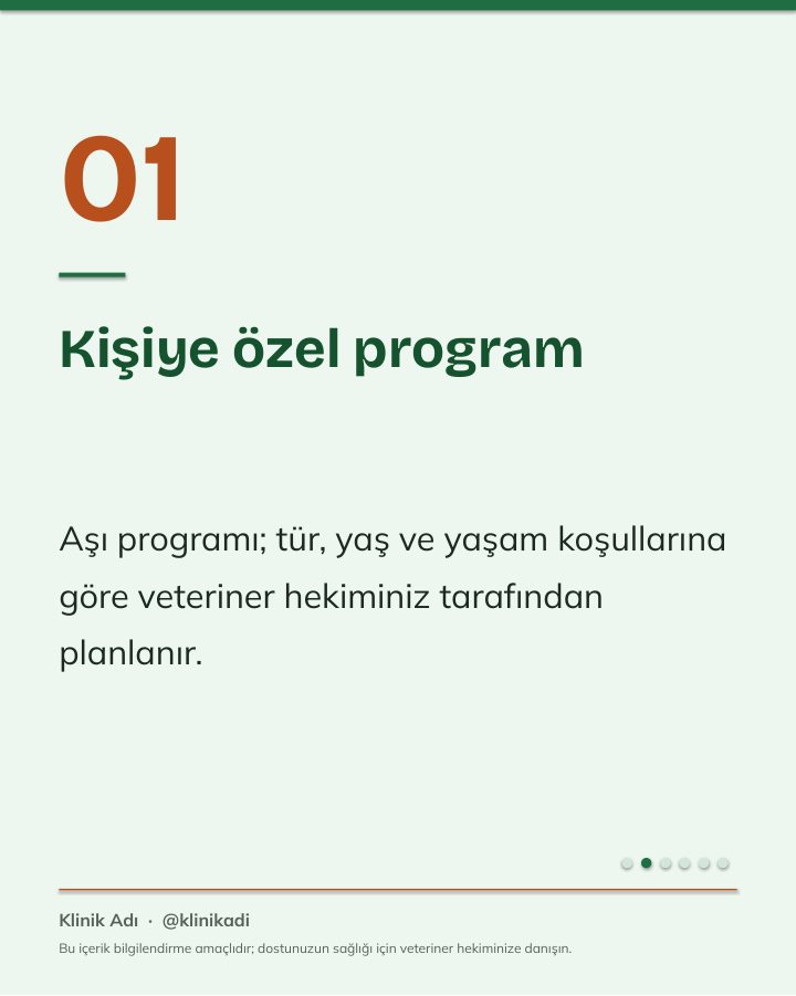 Vetta Sosyal Medya Kiti — Veteriner Kliniği İçin 44 Instagram Tasarımı