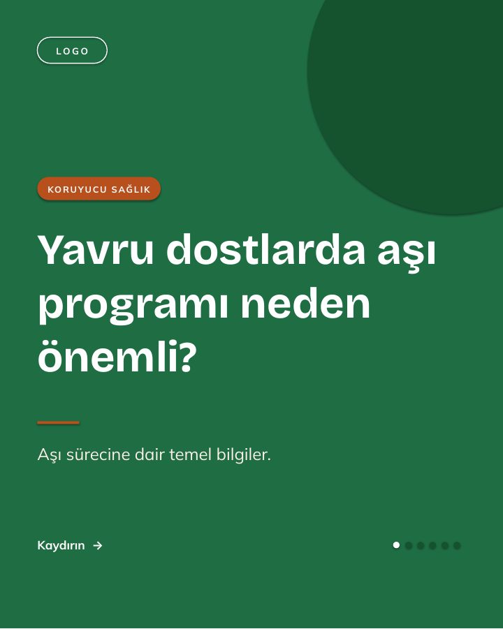 Vetta Sosyal Medya Kiti — Veteriner Kliniği İçin 44 Instagram Tasarımı
