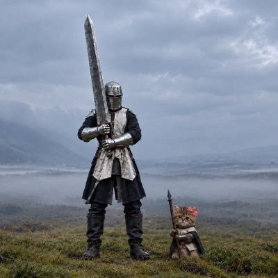 Şövalye ve Kedisi | El Boyaması 3D Baskı Figür