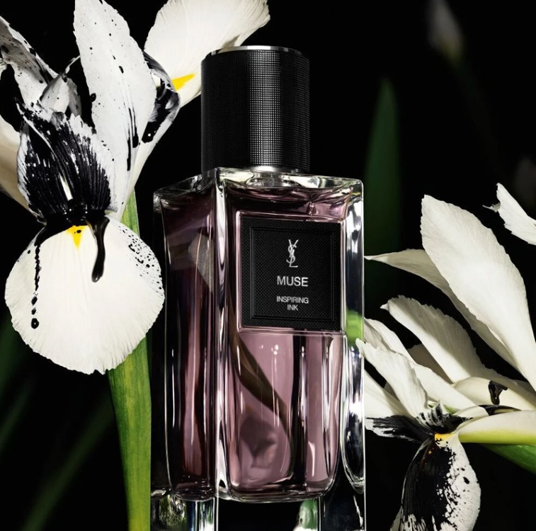 Yves Saint Laurent Muse 3 ml Decant