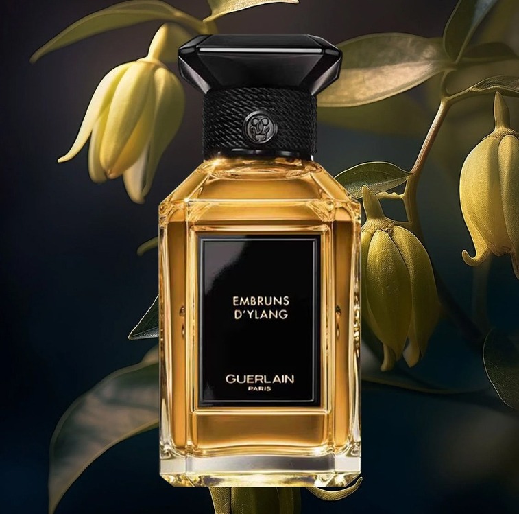 Guerlain Embruns D'Ylang 3 ml Decant