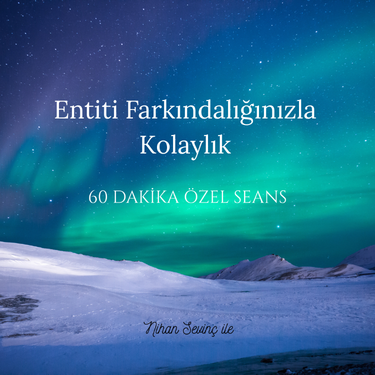 Entiti Farkındalığınızla Kolaylık Özel Seans (60 Dakika)