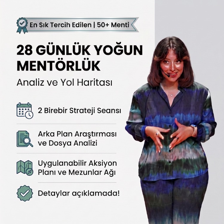28 Günlük Yoğun Mentörlük: Analiz ve Yol Haritası