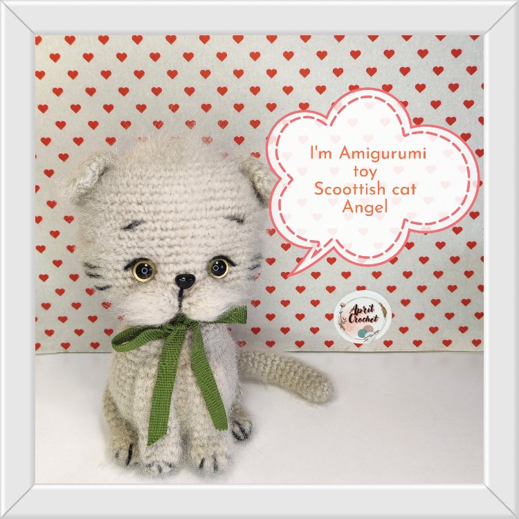 SCOTTISH KEDİ ANGEL