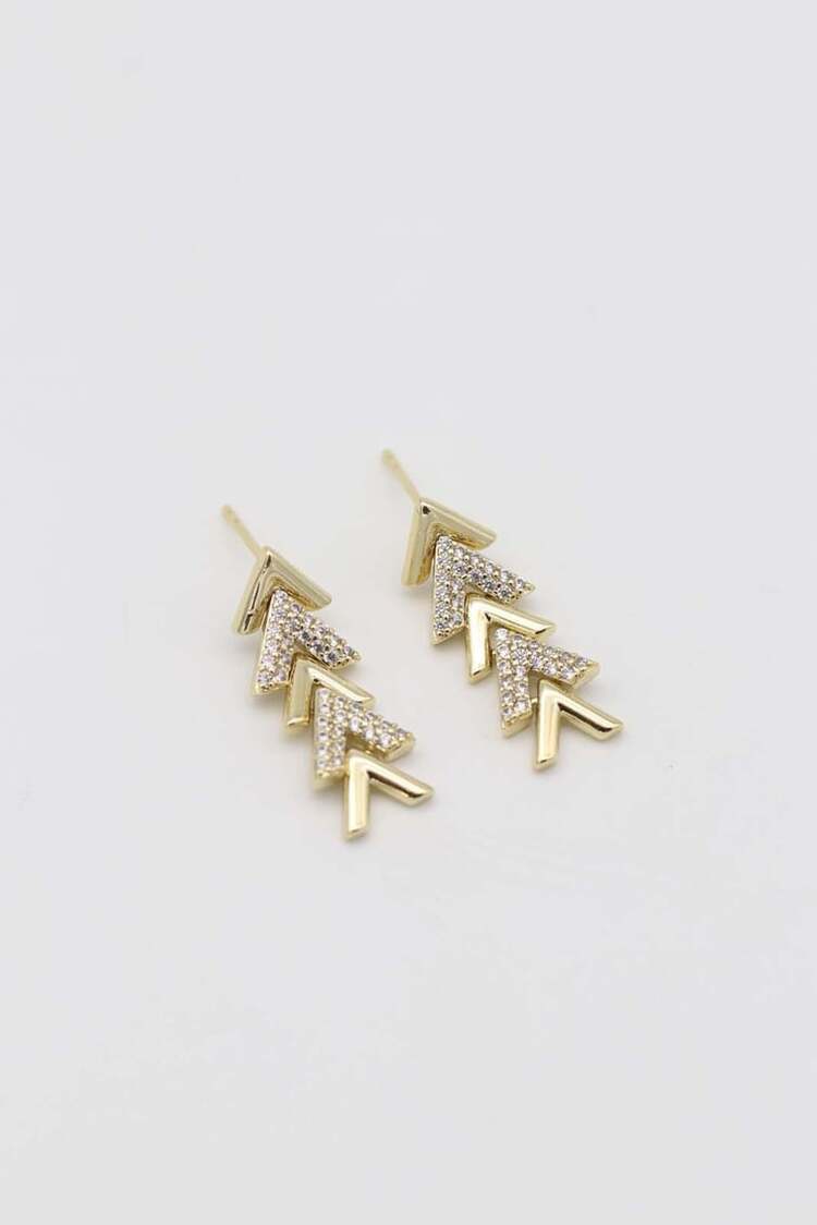 Vip 14K Küpe