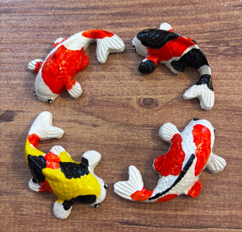 koi fish