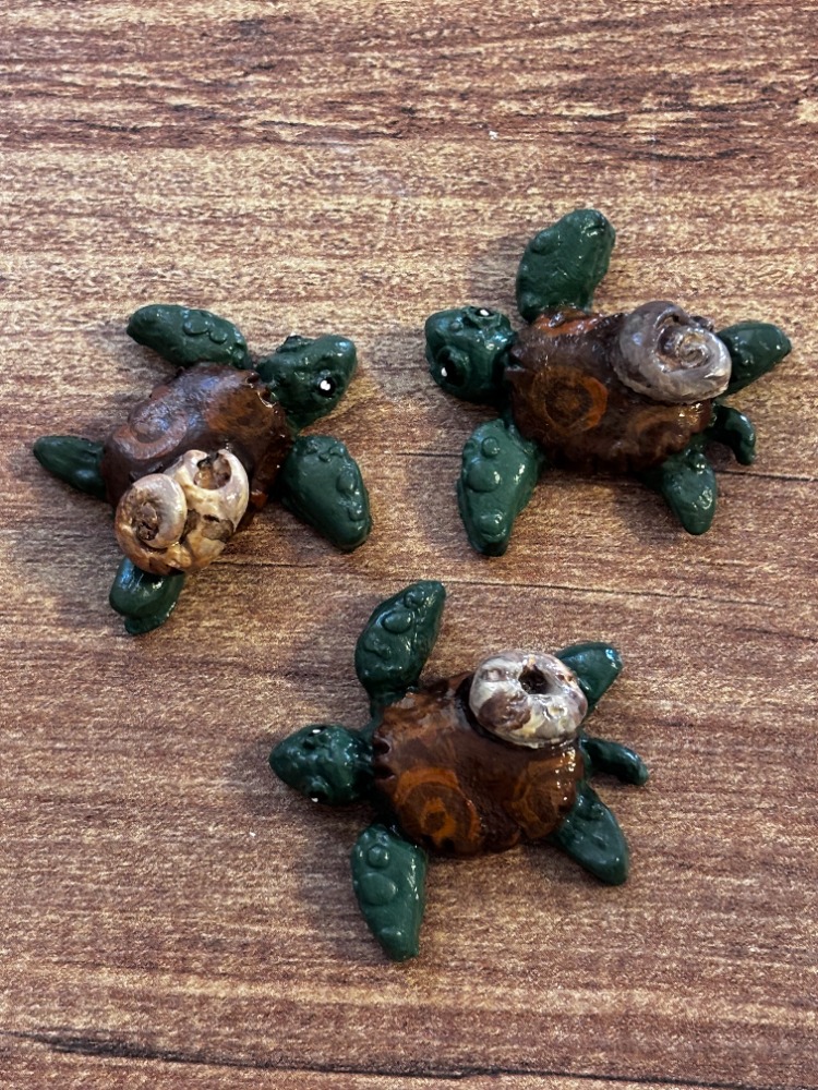 turtle