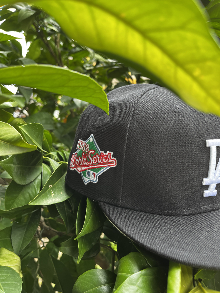 Los Angeles Dodgers Palm Tree Fitted Cap