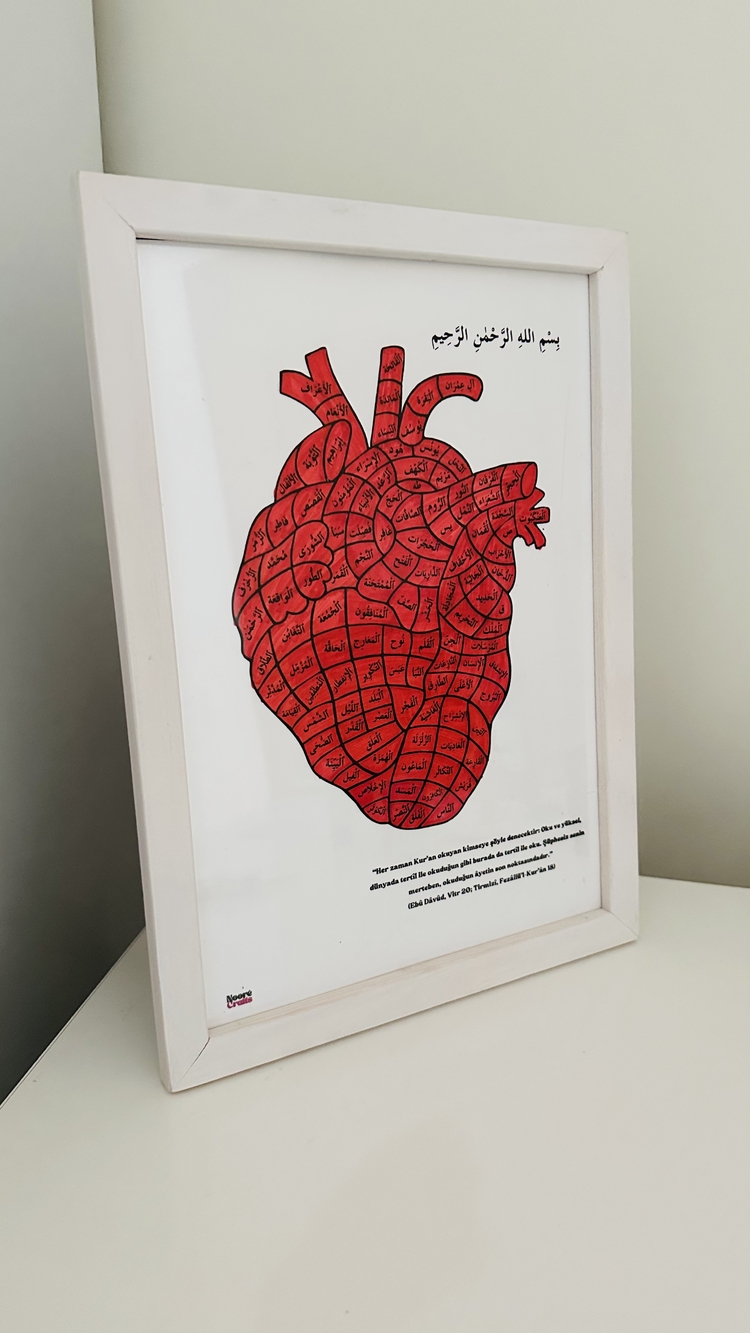 Kur’ânla Can Bulan Kalp (Tüm Sureler)