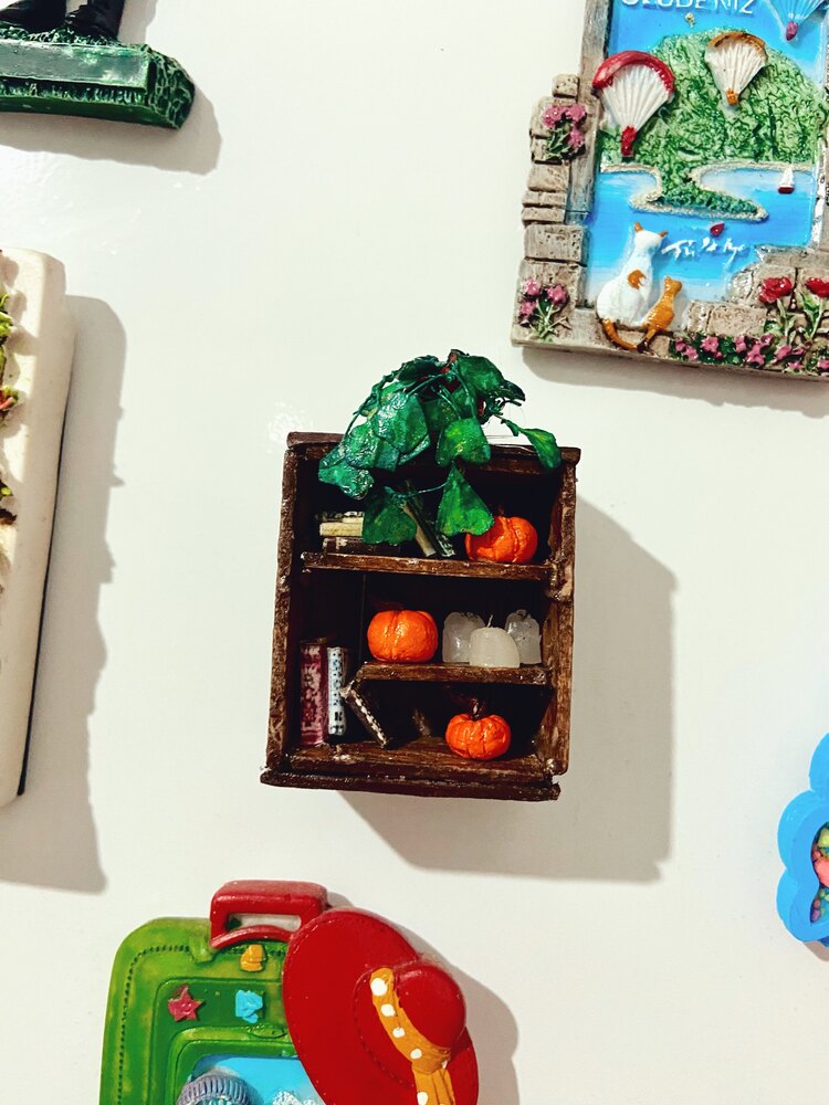 Buzdolabı magnet 