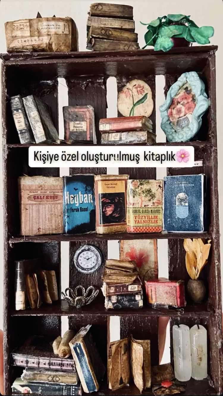 Kişileştirilmiş Kitaplık 1