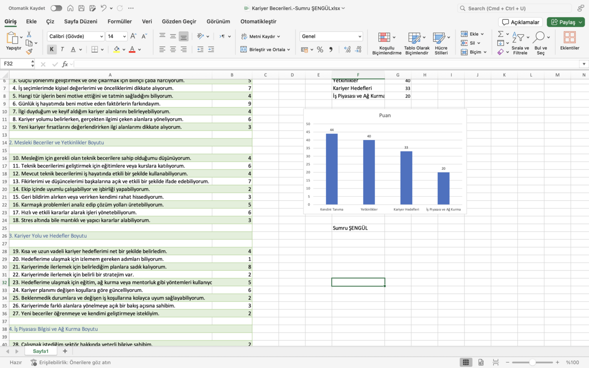 Kariyer Becerileri Ölçeği (Excel- Grafikli Sonuçlar)