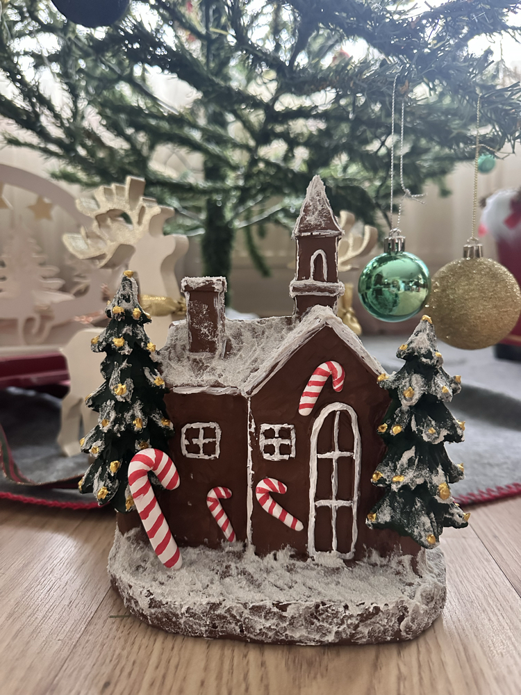 Çam Ağaçlı Noel Ev