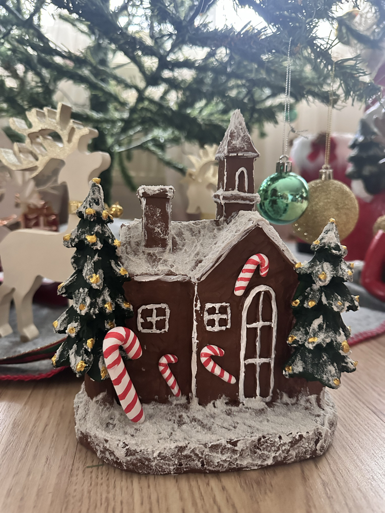 Çam Ağaçlı Noel Ev