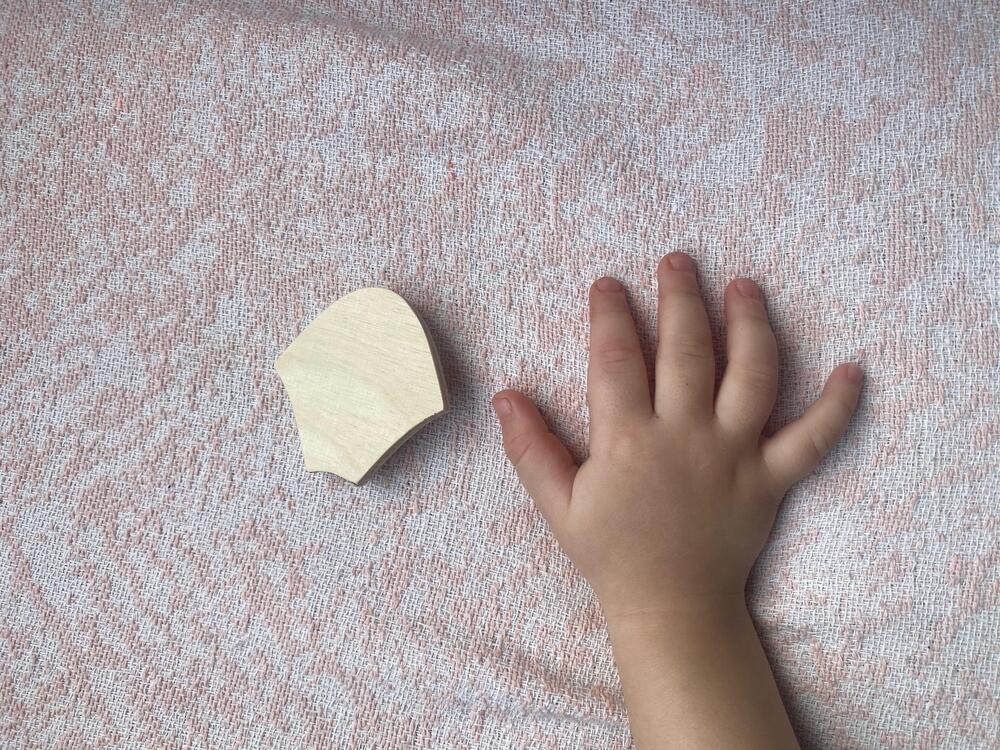 Beceri Temelli İpli Pullu Ahşap Balık