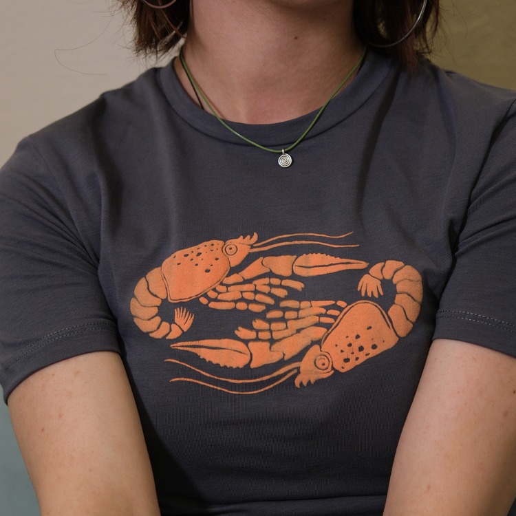 SHRIMP T-SHİRT CROP