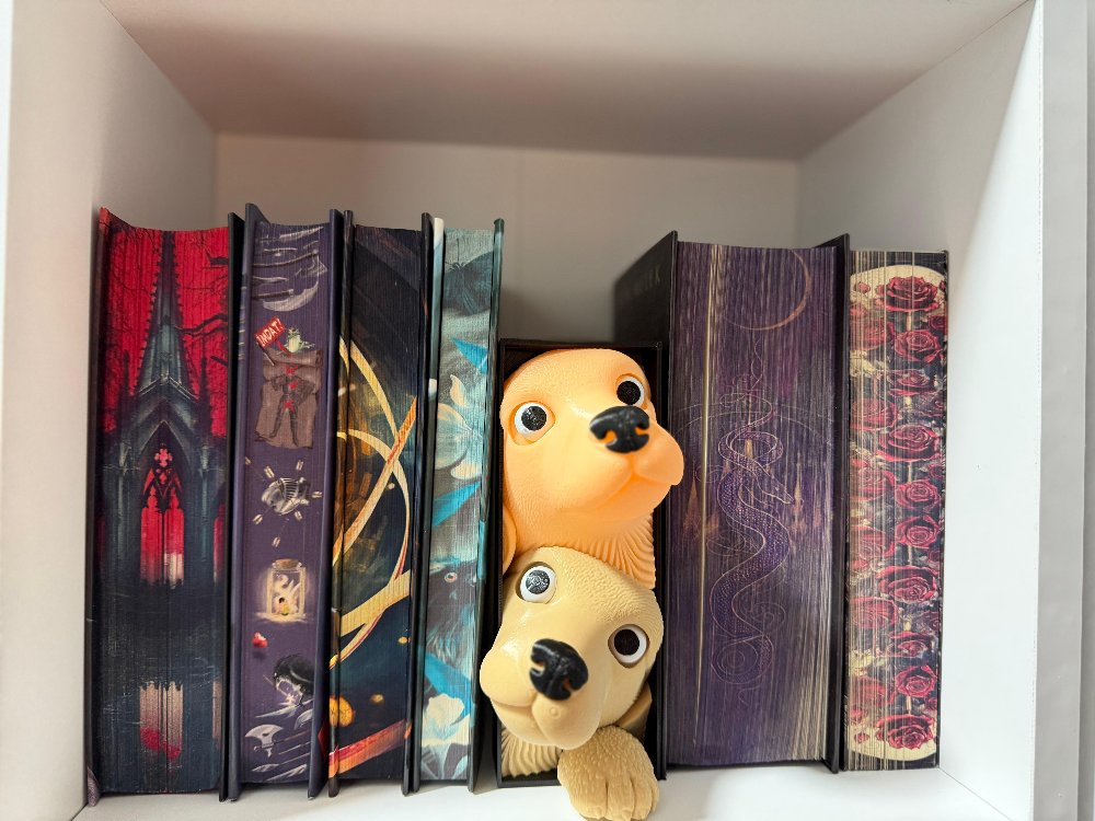 Duvar Efektli Köpek Figürü