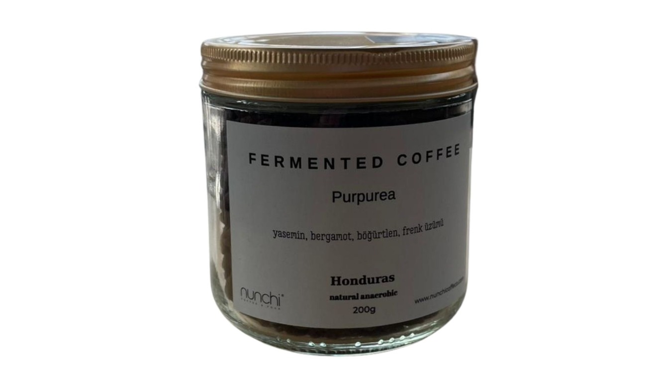 ANAOREBİK FERMENTED COFFEE-PURPUREA-200 GR