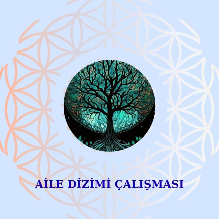 AİLE DİZİMİ ÇALIŞMASI
