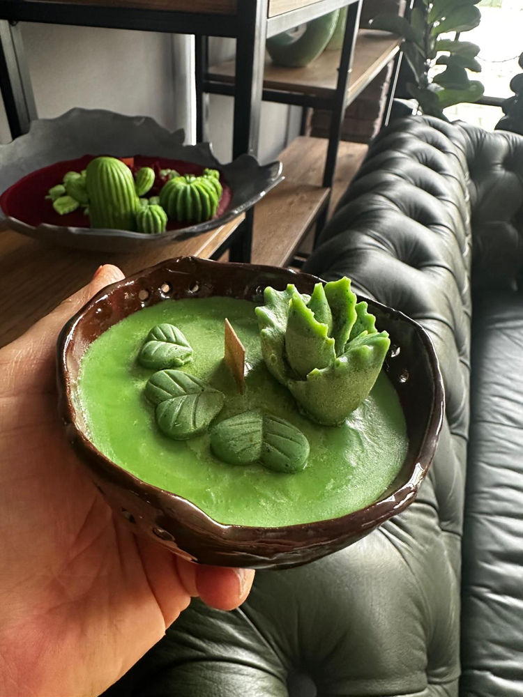 Kase Soya Mum -Sedir Ağacı