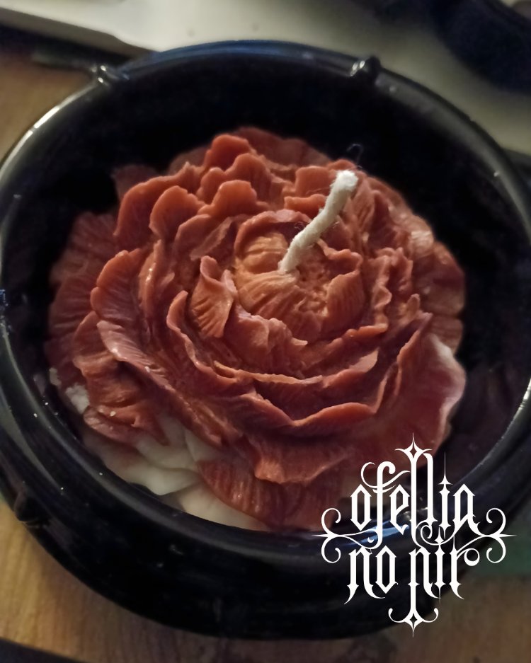 ✨ Ofelia Noir – Epoksi Kuş Yuvası | Şeftali Bazlı Tatlı Mum ✨