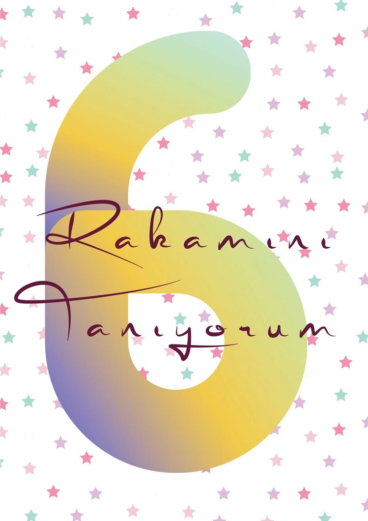 6 Rakamını Tanıyorum