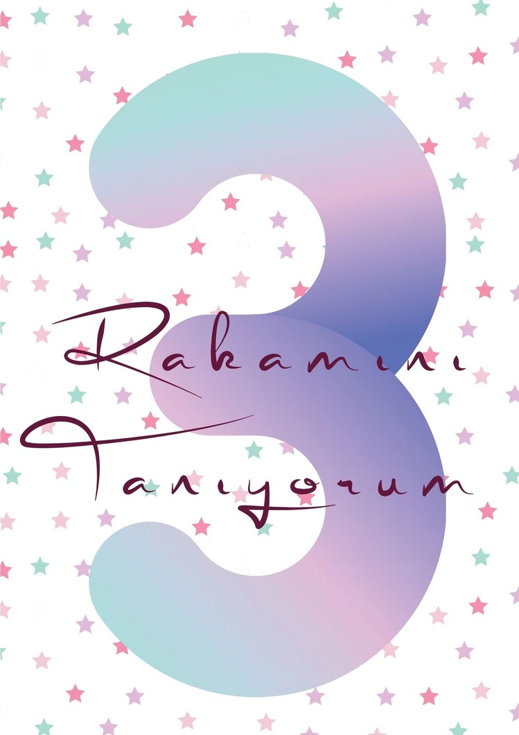 3 Rakamını Tanıyorum