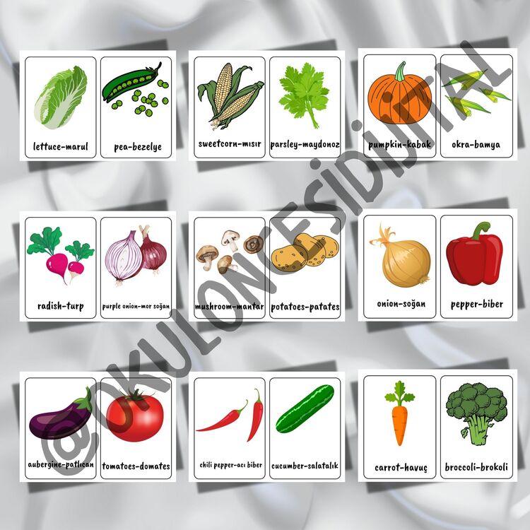 İngilizce-Türkçe Kavram Kartları (108 Kart)