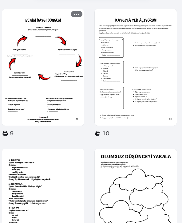 SINAV KAYGISI ETK. KİTAPÇIĞI (LİSE)