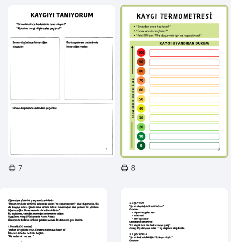 SINAV KAYGISI ETK. KİTAPÇIĞI (ORTAOKUL)