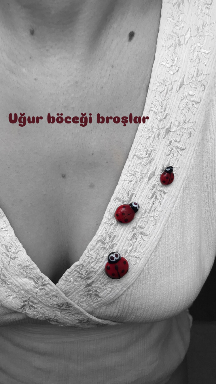Uğur böceği broş.