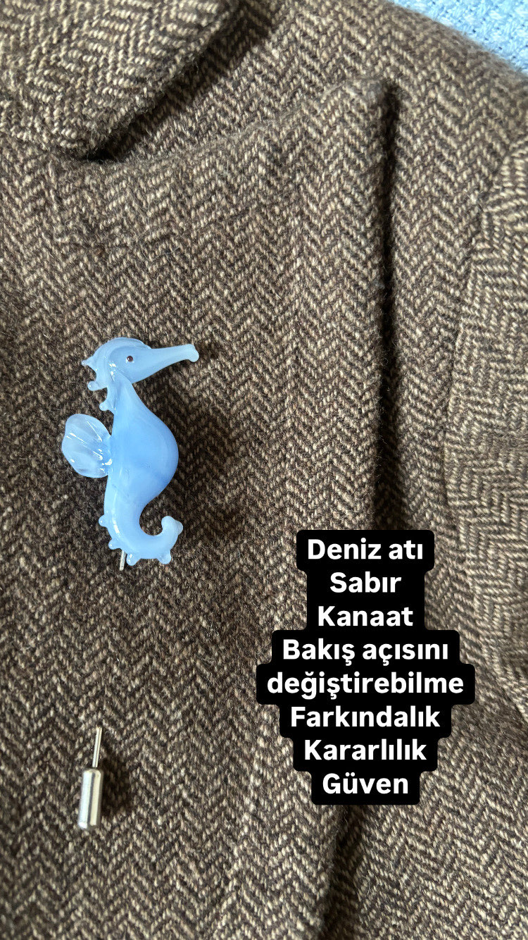 Deniz atı broş