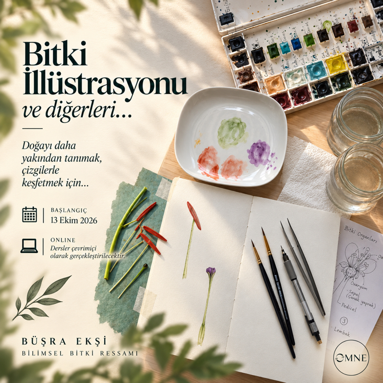 Bitki İllüstrasyonu Dersi 1.Ay (Aşama 1)