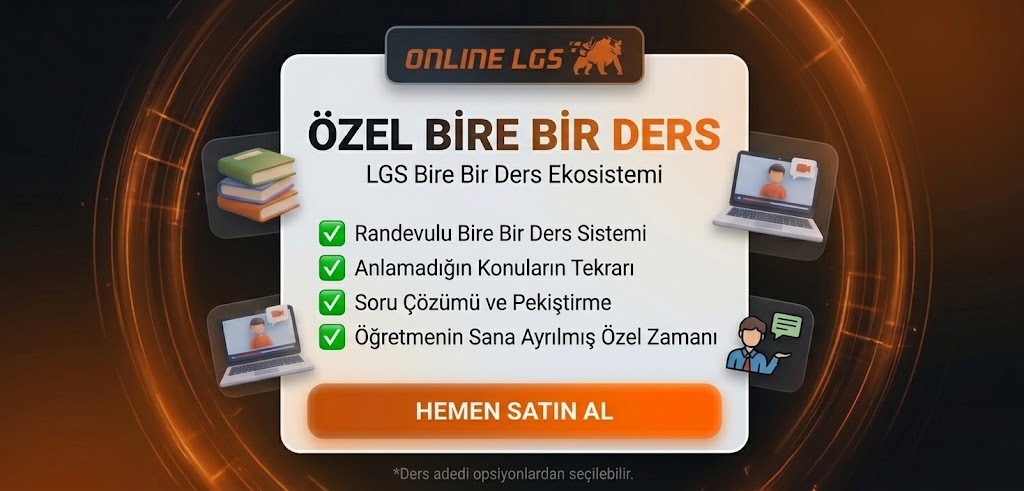 Online LGS - Özel Bire Bir Ders