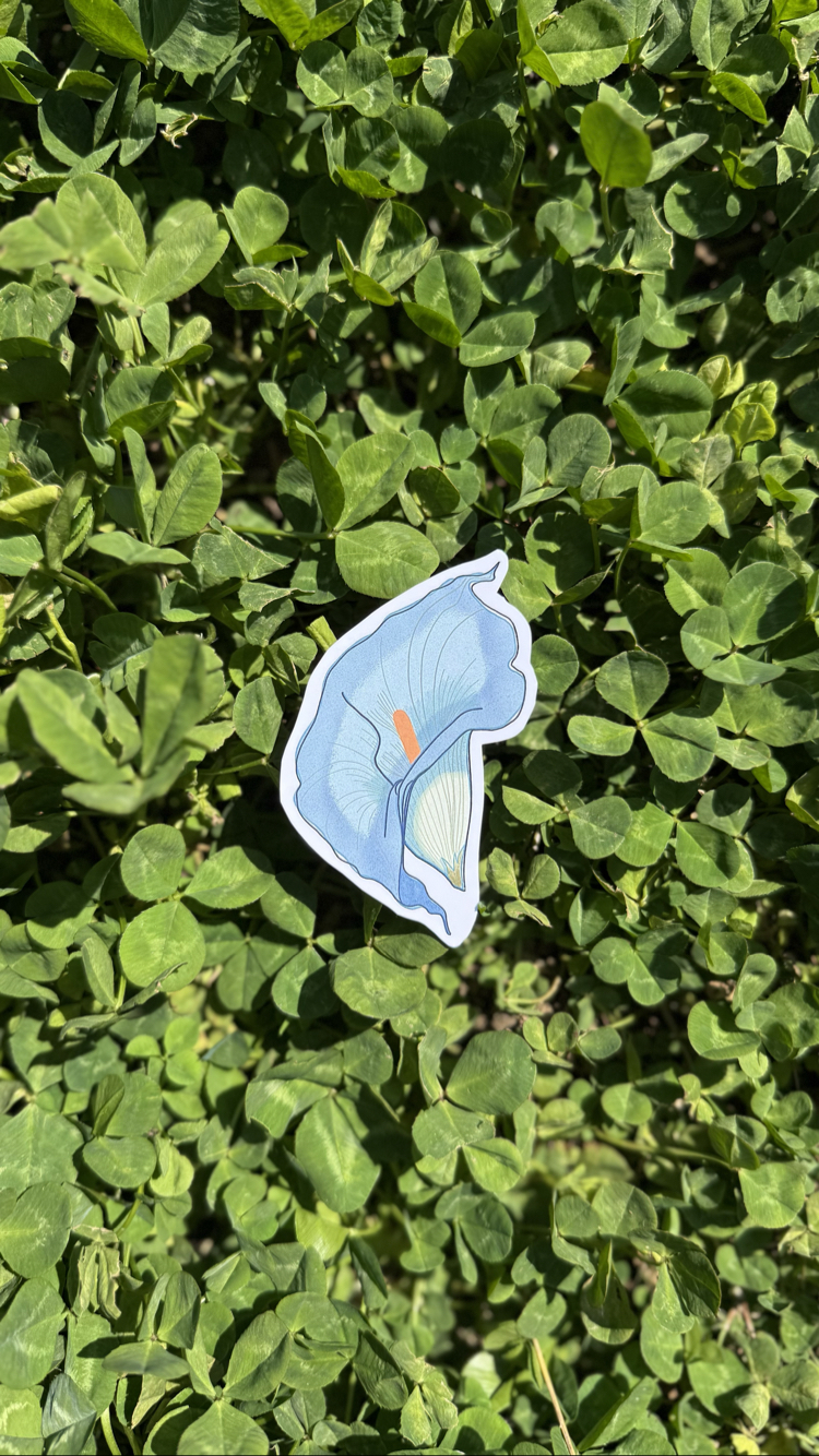 Mavi Gala Sticker
