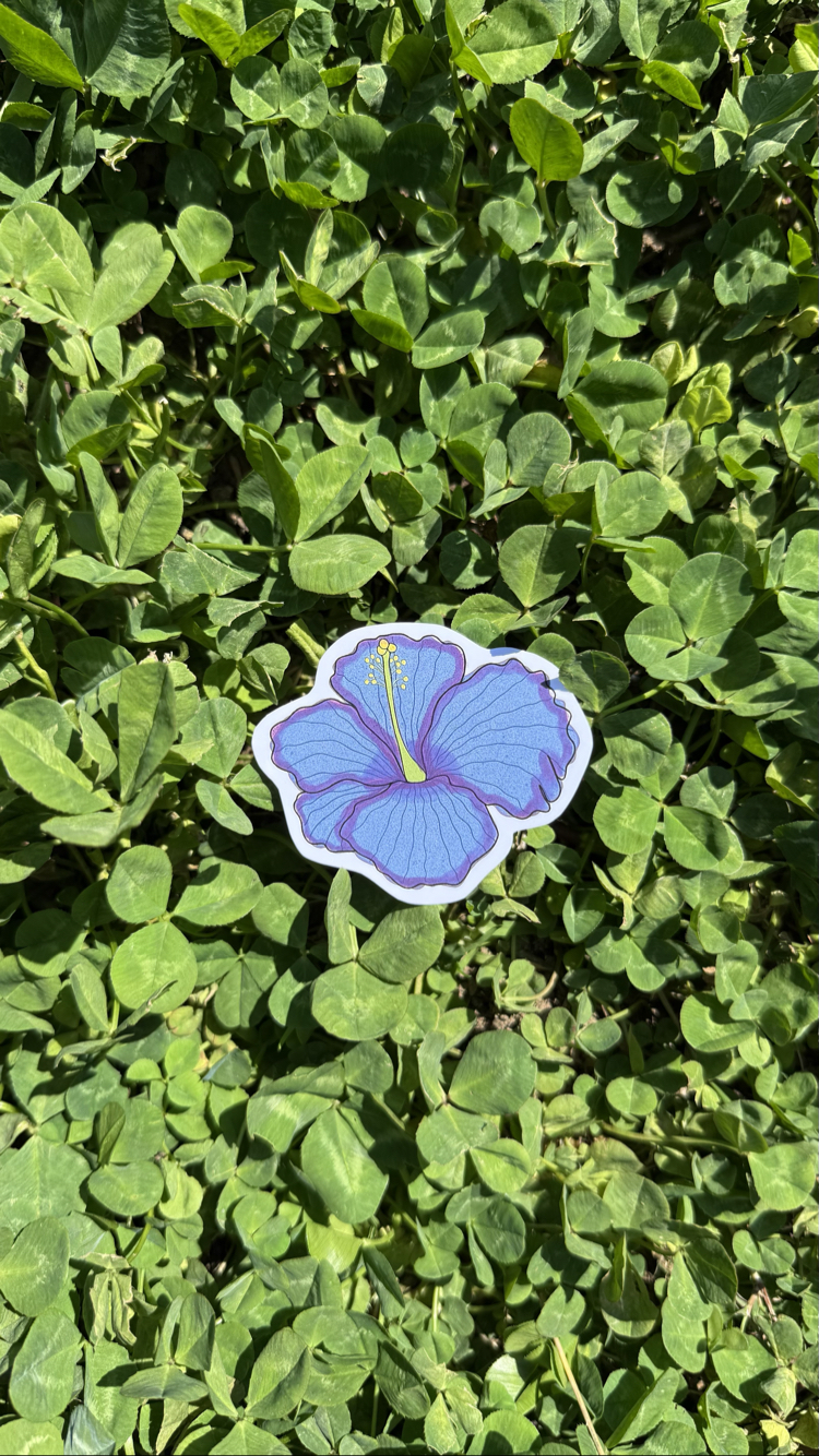 Mor Hibiscus Sticker