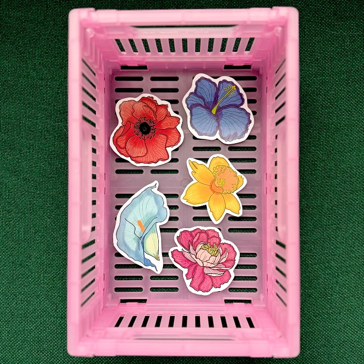 Sarı Nergis Sticker