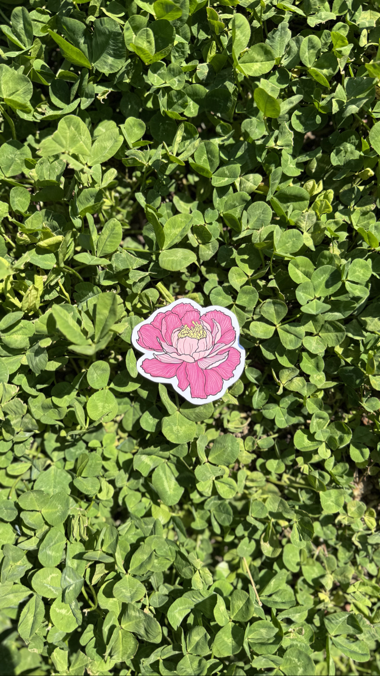 Pembe Şakayık Sticker