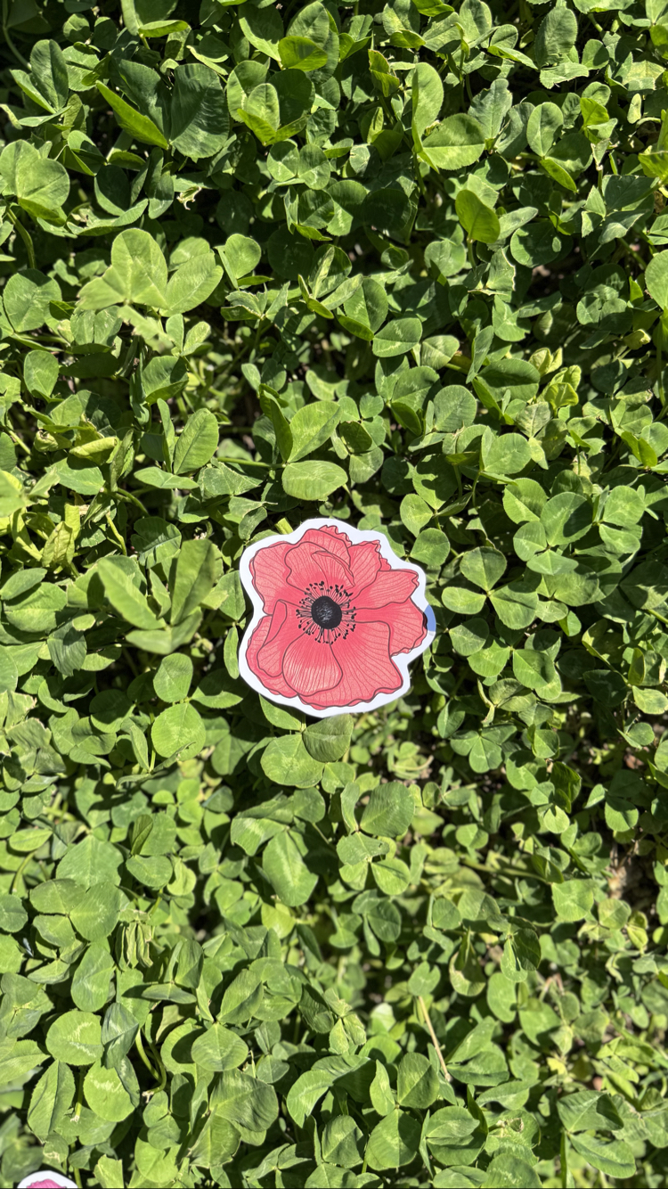 Kırmızı Gelincik Sticker