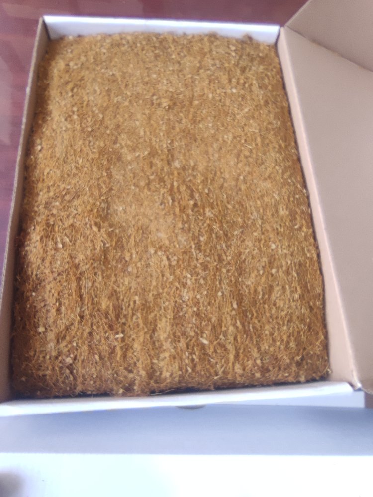 1.kalite muş (kasor)sert içim