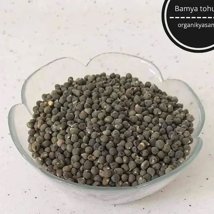 BAMYA TOHUMU