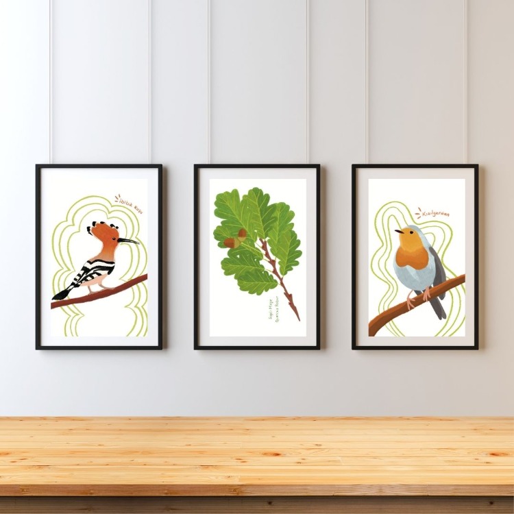 3'lü Kartpostal Set