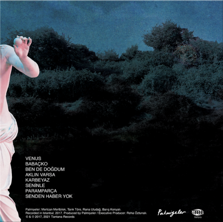 Palmiyeler - II (Venus) • 12" Plak