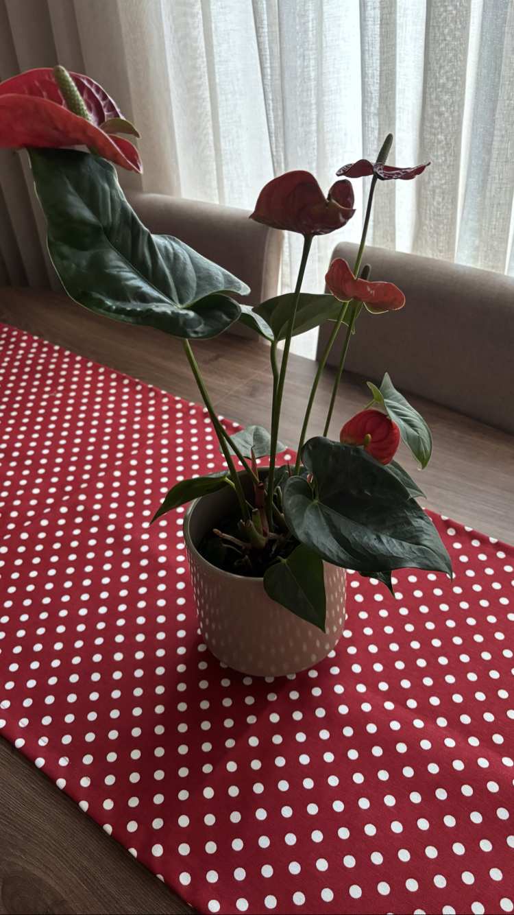 Red Polka Love Runner