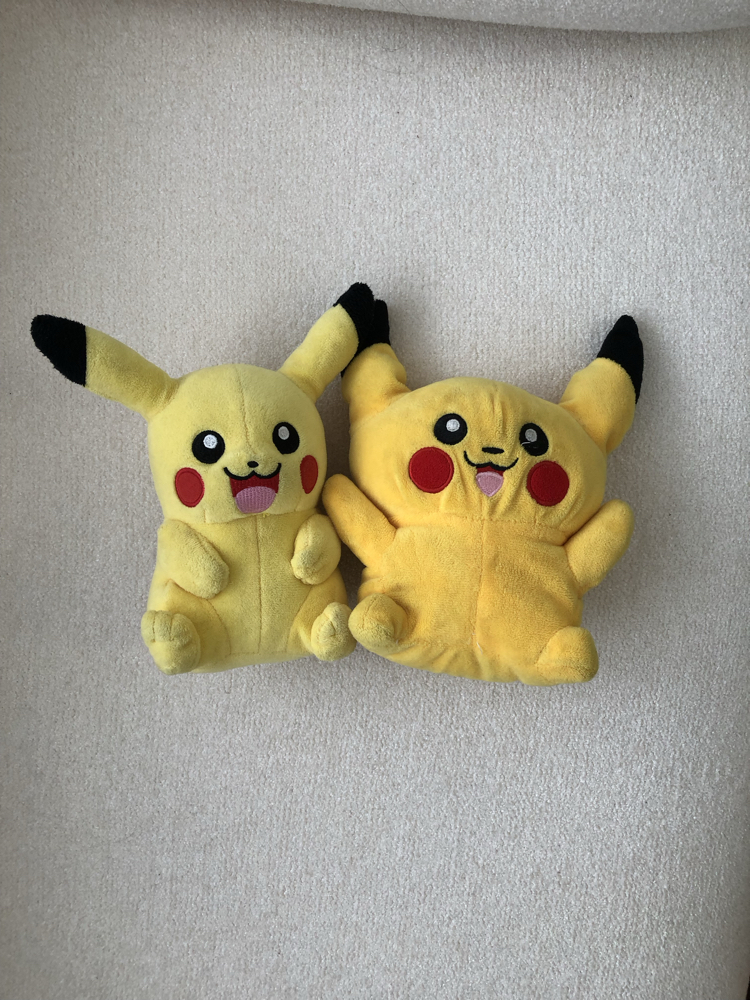 Pokemon Dev Set
